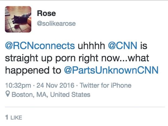 CNN porn tweet